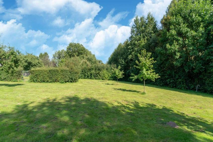 Bie Leentje op de Wei - foto 45