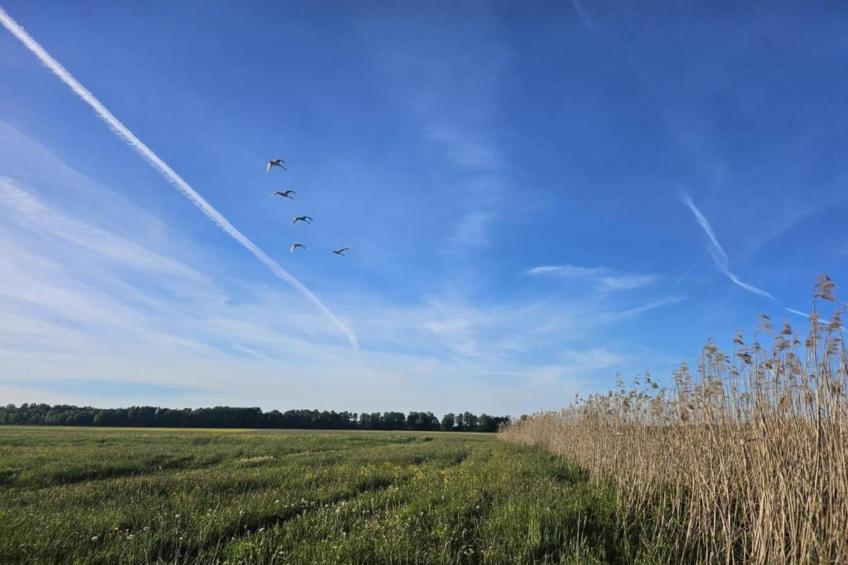 A large comfortable house Gajewo in Podlasie - foto 27