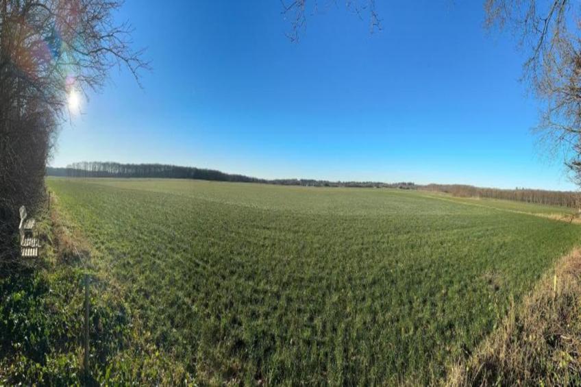 Bospark Lunsbergen - foto 35