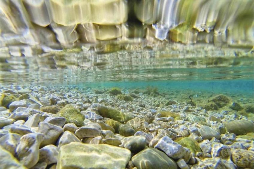 Mediterano 1 - foto 38