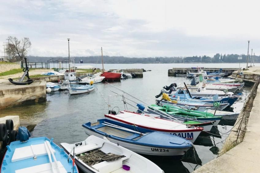 Große Wohnung in Babići mit Garten und Terrasse - foto 41