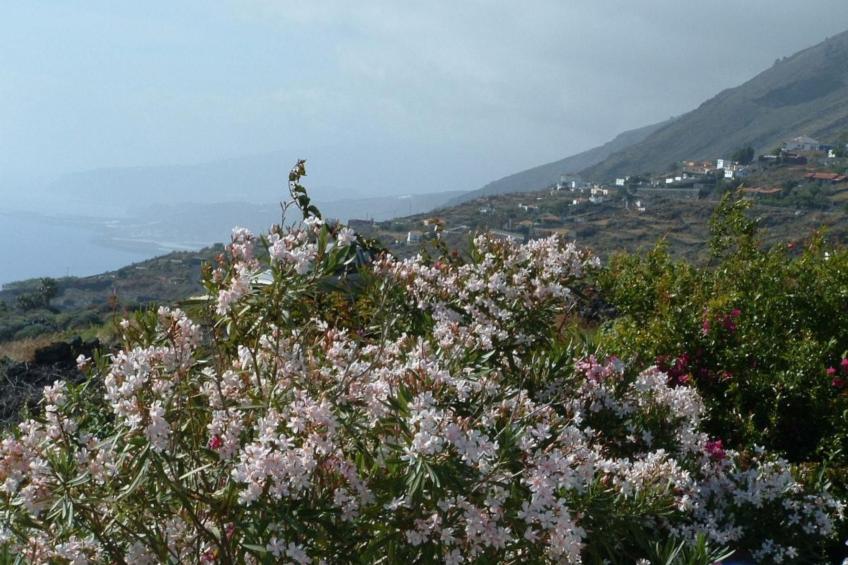 "Las Viñas" mit Wasserblick - foto 36