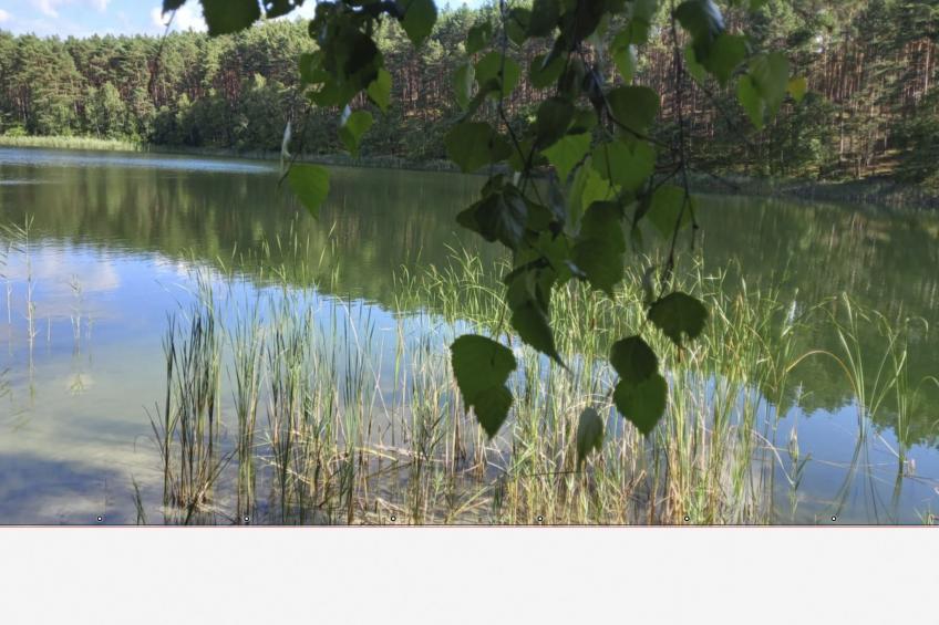 mit Garten, Grill und Terrasse - foto 23