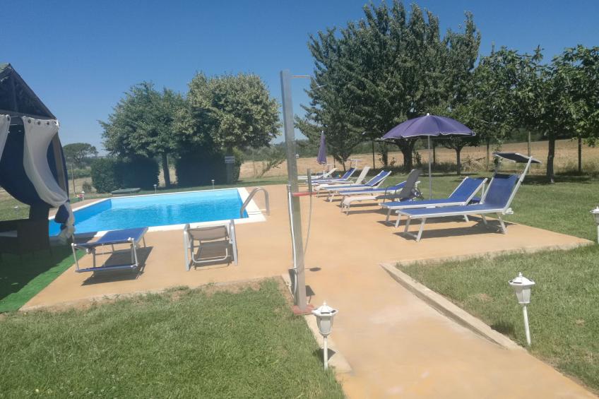 Die Maulbeerbäume auf dem Bauernhof - foto 24