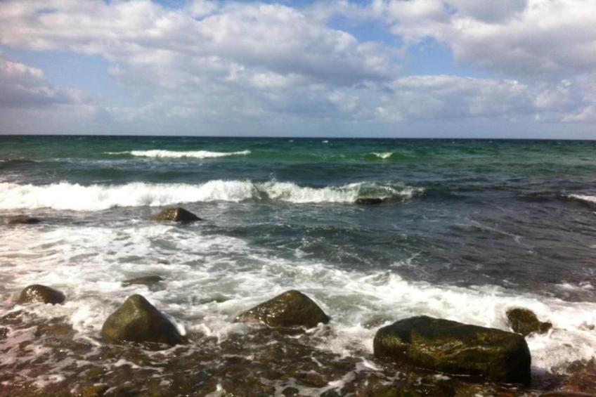 Ferienwohnung Albatross - strandnaher Urlaub Ostseebad Rerik - foto 16