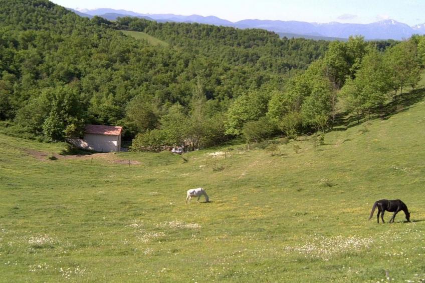 Ruhig gelegenes Ferienhaus, ideal für Bergsport - foto 19