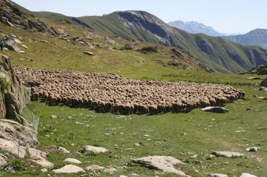 Les Marmottes N°42 - 3P6 - foto 22