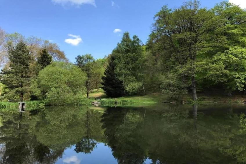 Ferienwohnung Apelt - foto 31