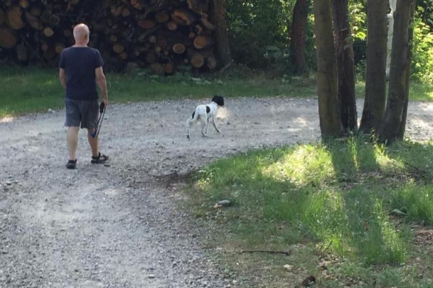 Wohnung in Brusasco mit Garten, Terrasse und Grill - foto 31