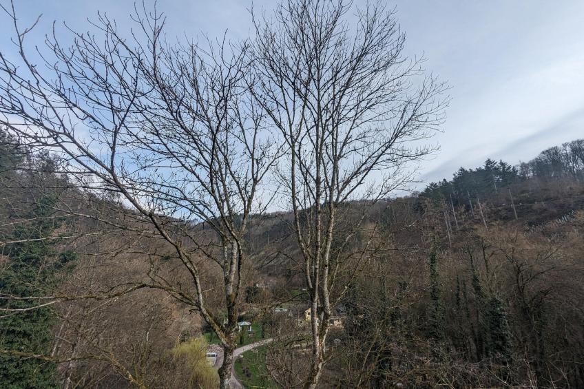 Double Room with Extra Bed - foto 27