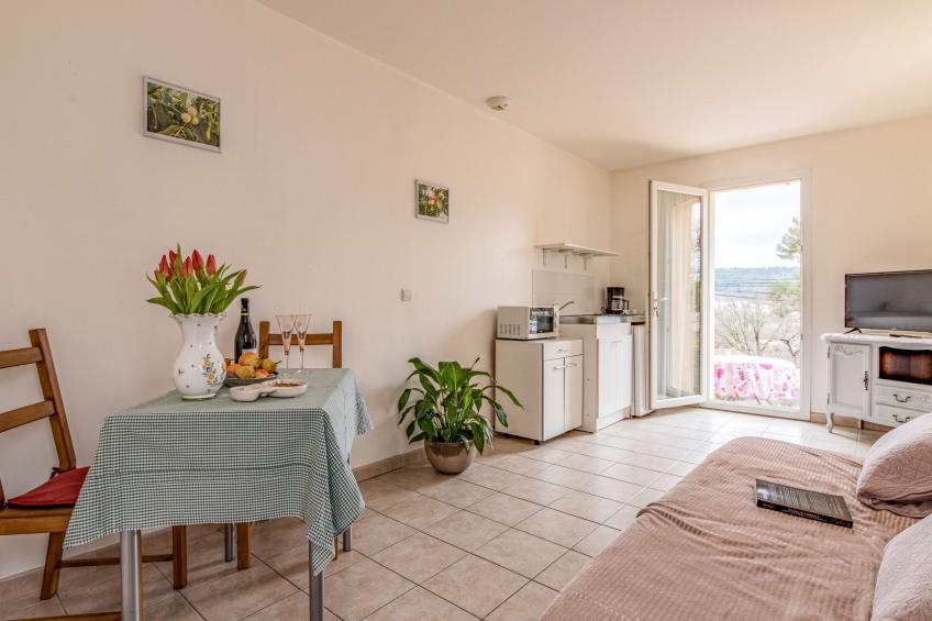 Le petit Verdillon - foto 2