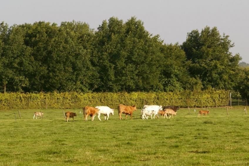 Resort Mooi Bemelen 9 - foto 40