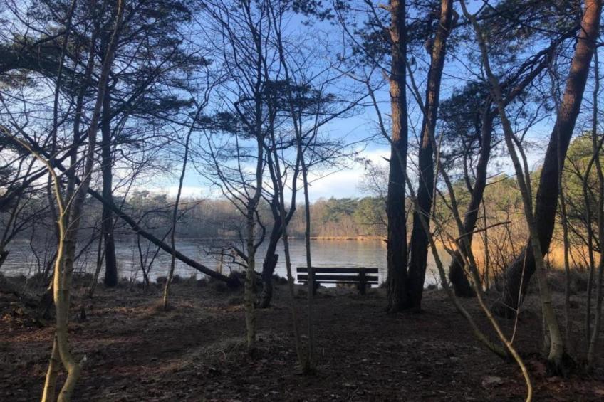 Vakantiepark de Vossenburcht - foto 33