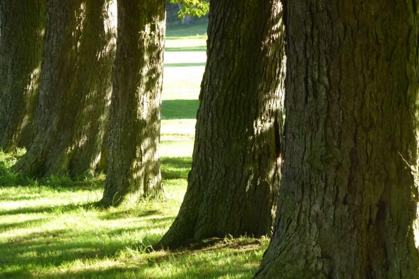 Galerie West - foto 28