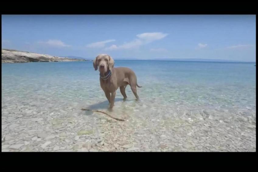 Villa AM2 - foto 24