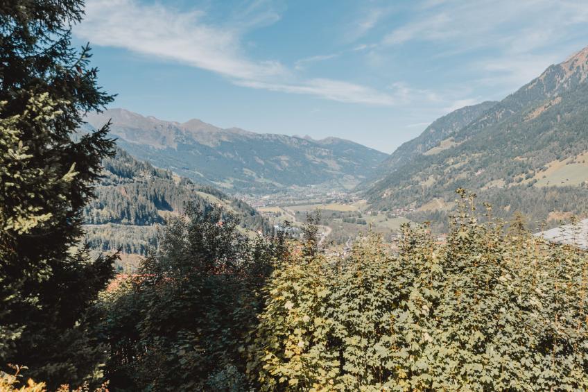 Alpenpanorama - foto 17