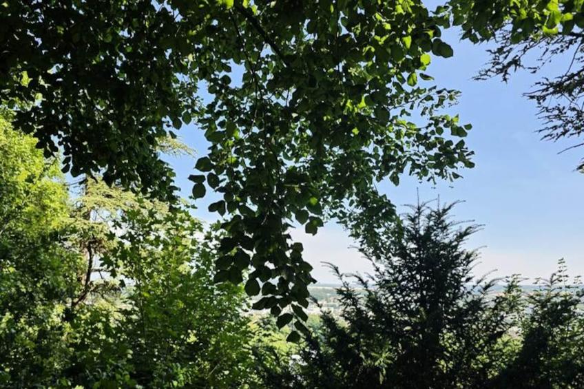 Beau Loft Pour 2 Avec Jolie Terrasse Au Calme - foto 13