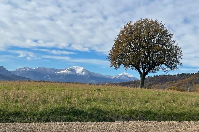 Monte Pino - foto 24