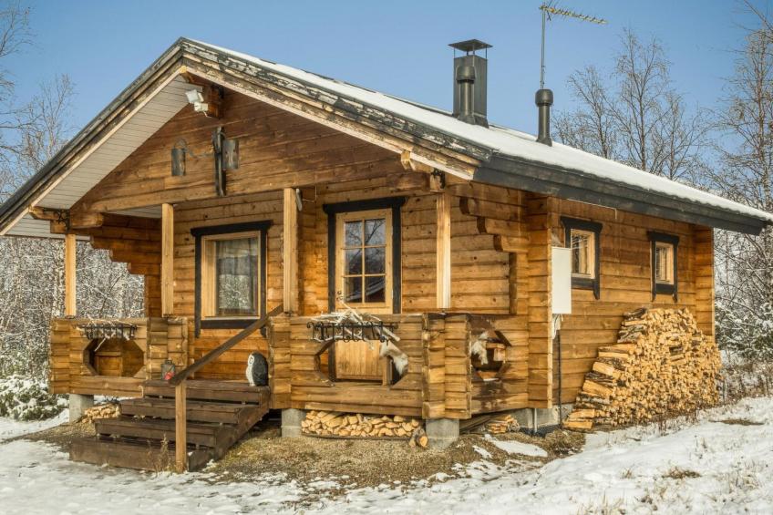 Pikkupöllö - foto 3