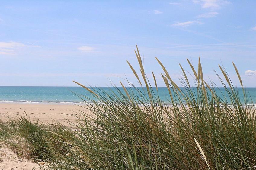 l'Escale dunes, Strände 20 Meter entfernt, Meerblick - foto 38