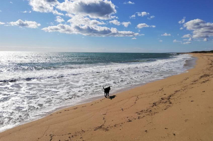 Villa Lona - foto 39