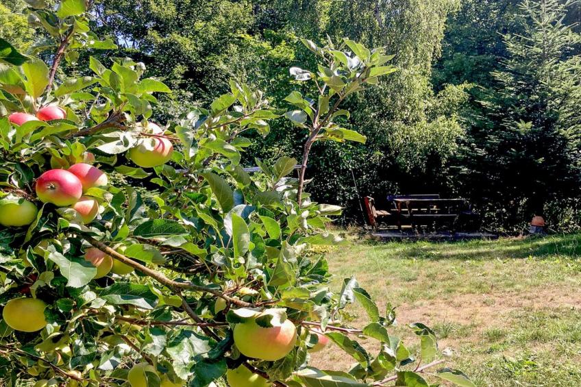 "Cornel" - 200m from the sea in Bornholm - foto 14