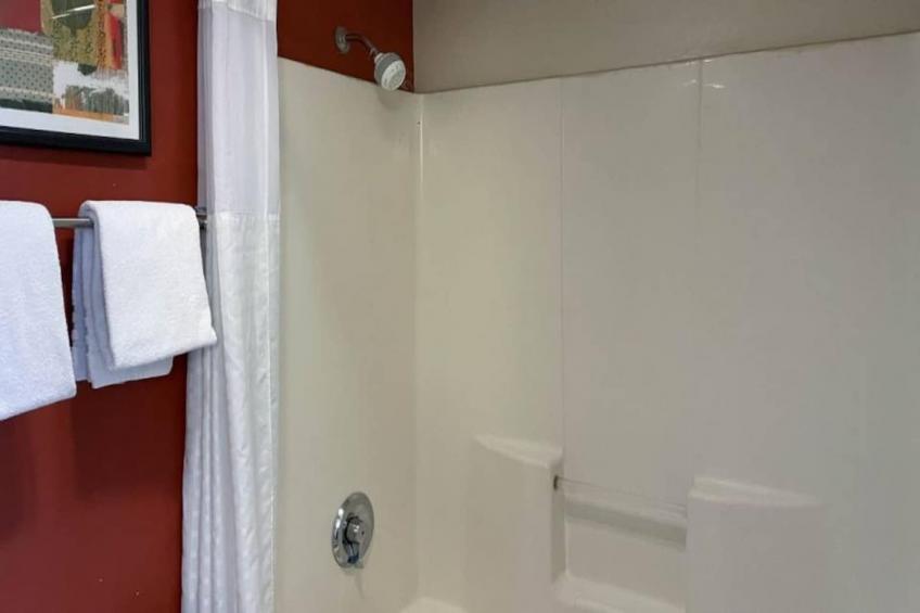 1 King Bed  Suite Non-Smoking - foto 10