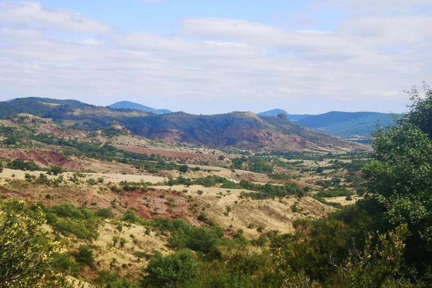 Domaine Courniou - foto 39