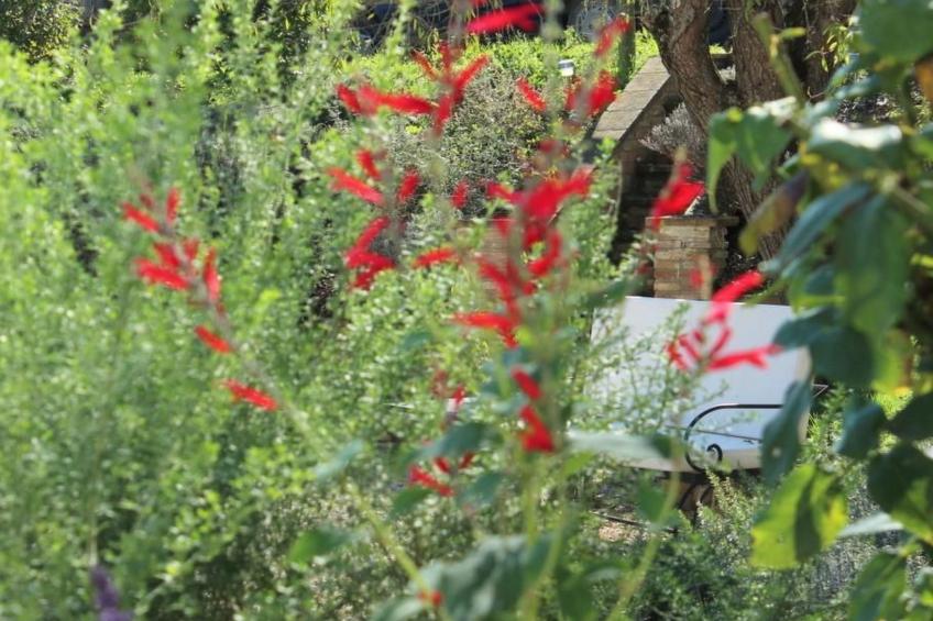 Apartment MONTONE - foto 4