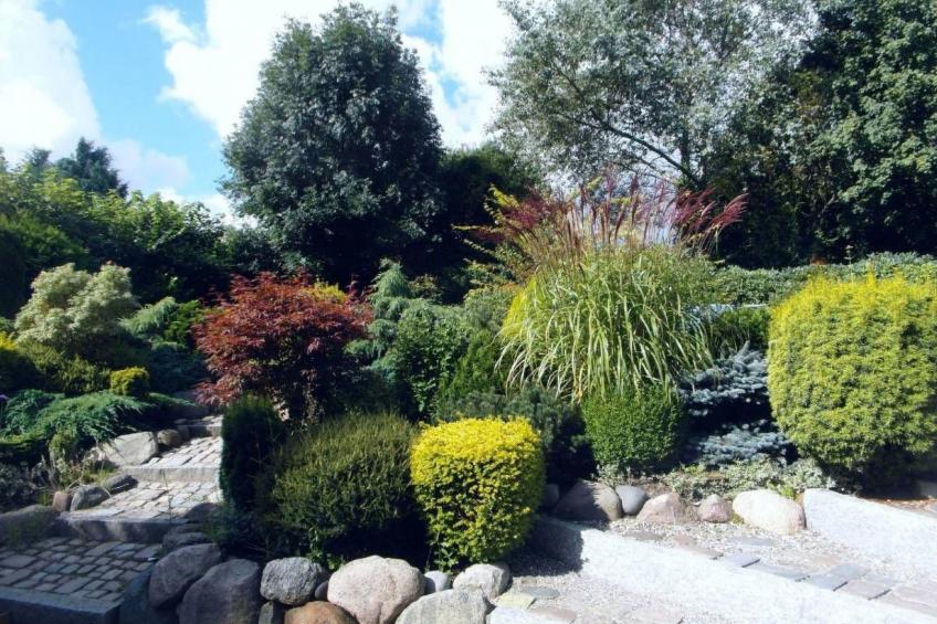 Urlaub am Meer im Ferienhaus mit Sauna - foto 31