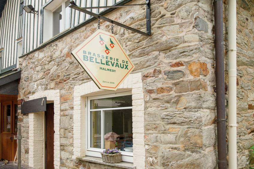 Red Hazels - foto 25