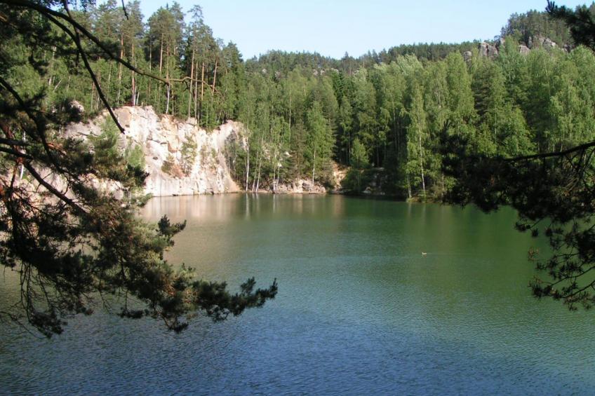 in natürlicher Umgebung - foto 19