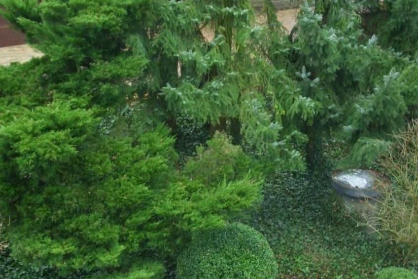 Cassiopaia in Baden-Baden - foto 16