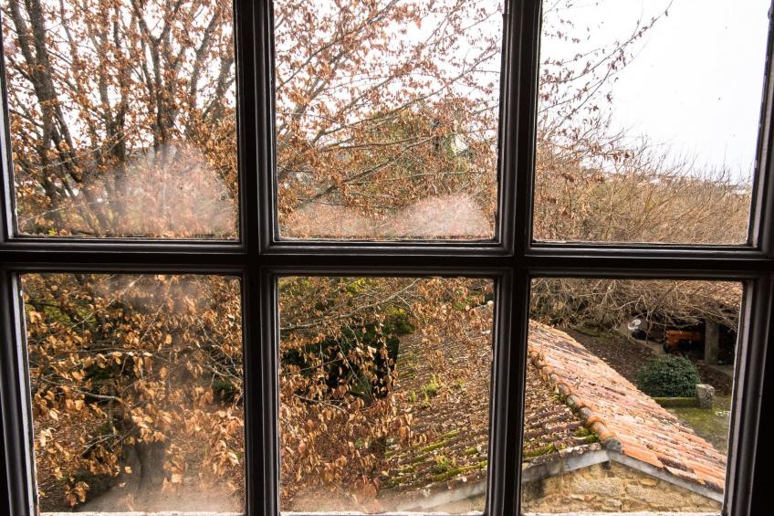 Finca "Quinta do Bento Novo" - foto 43