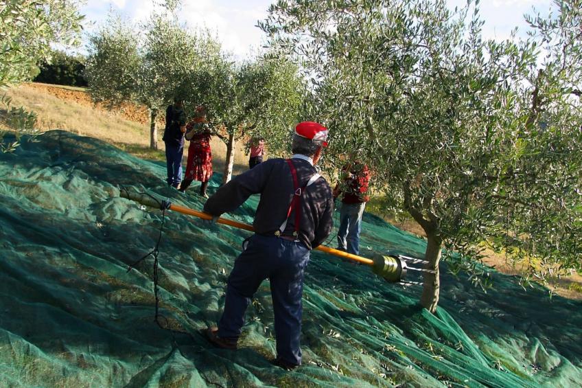 Studio mit Balkonblick ins bergige Grüne - foto 17