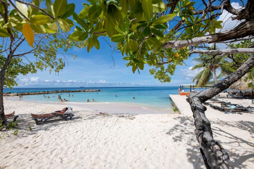 Rise and Shine - Boca Gentil - foto 30