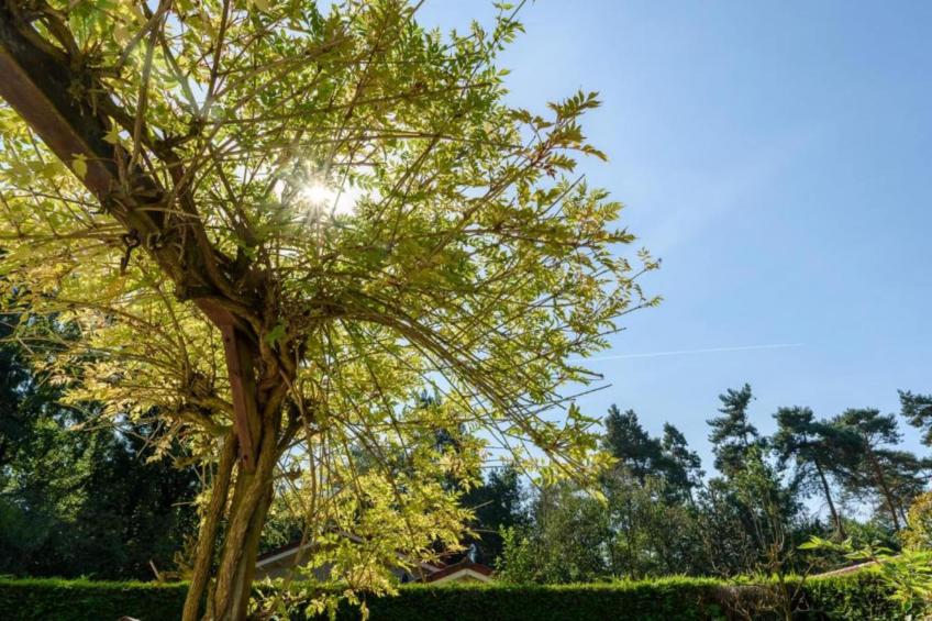 De Veluwse Hoevegaerde 2 - foto 25