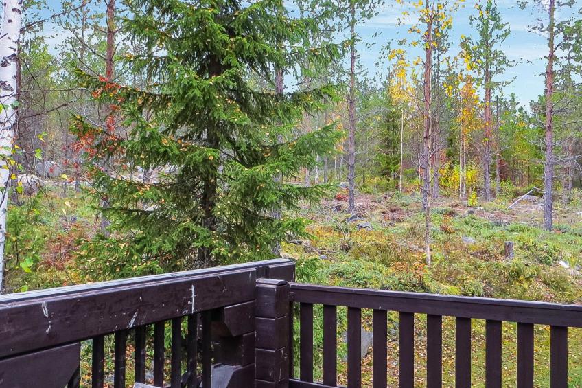 Niementalo 2 - foto 25