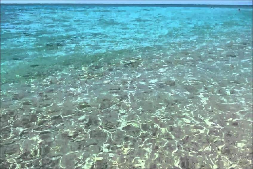 Villa Bruni - foto 38