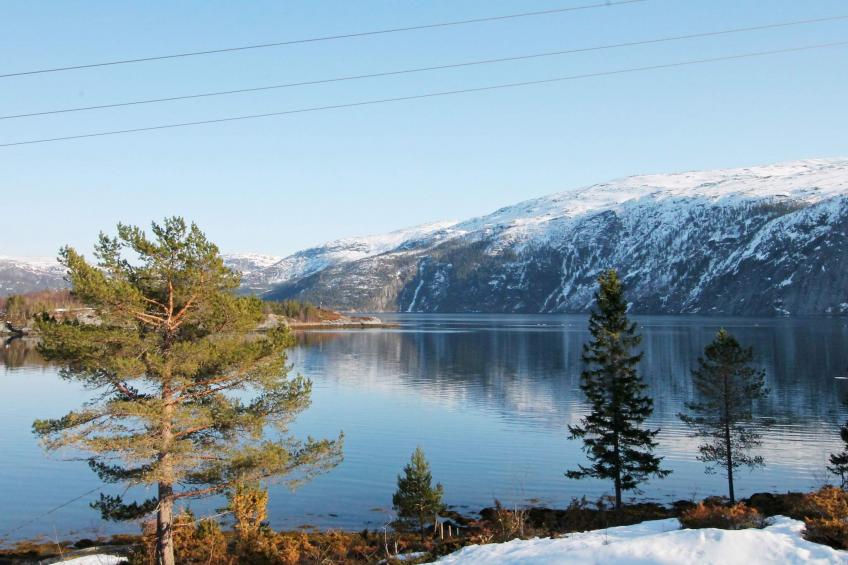 ÅRFJOR - foto 2