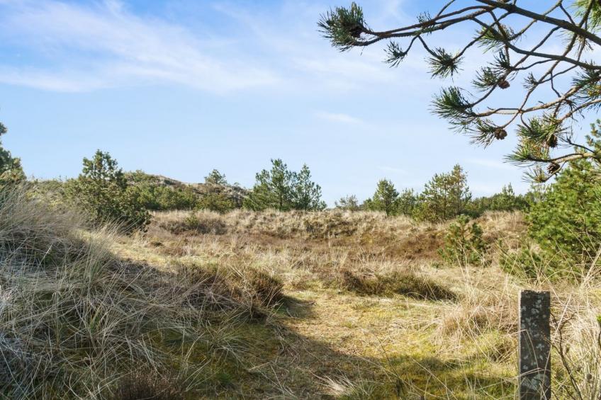 "Eroll" - 1.8km from the sea in NW Jutland - foto 30