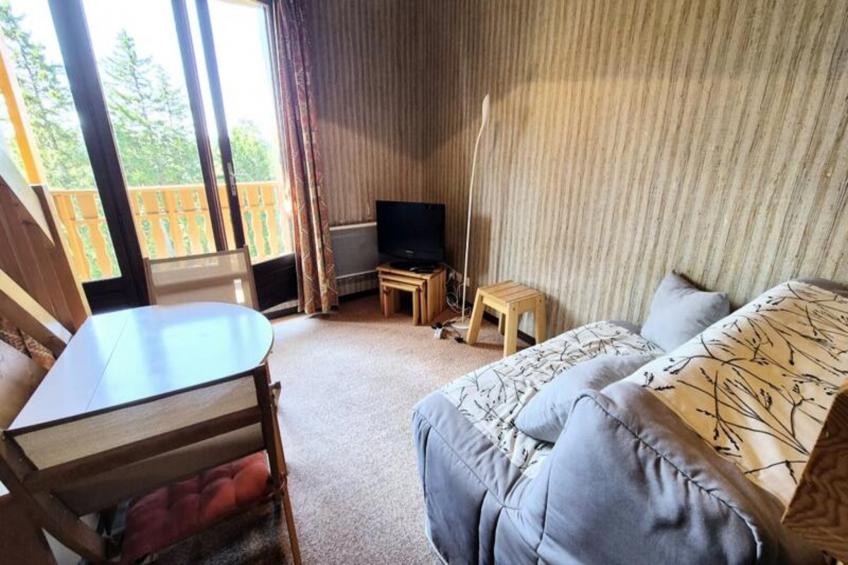 Charmant Duplex Au Pied Des Pistes – Balcon Plein Sud & Mezzanine - foto 4