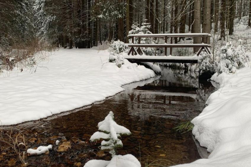 Auf der Sonnenseite - foto 23