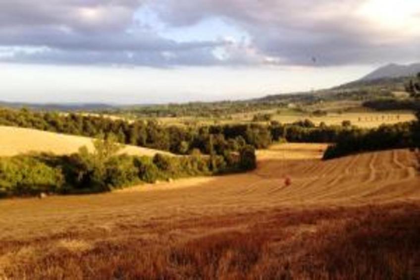 Poggio Casale - foto 32