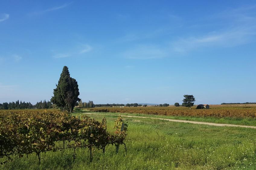Charmantes Bauernhaus in der Provence - foto 12