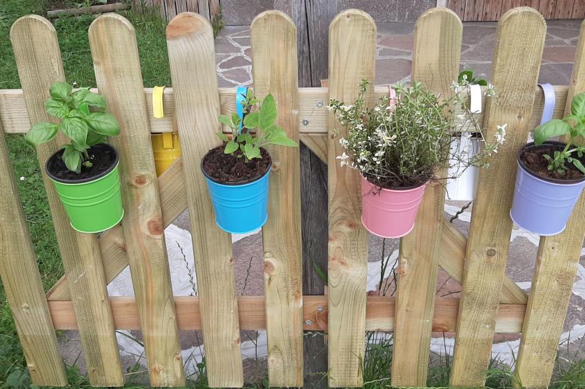 Wohnung "Zanetti" mit Seeblick - foto 11