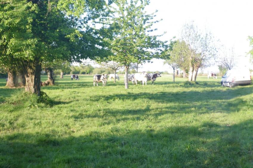 "La Petite Cauvinière" - foto 2