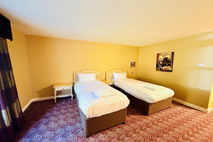 Deluxe Twin Room - foto 13