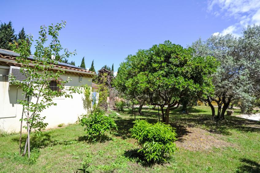 Mas des Lavandes - foto 42