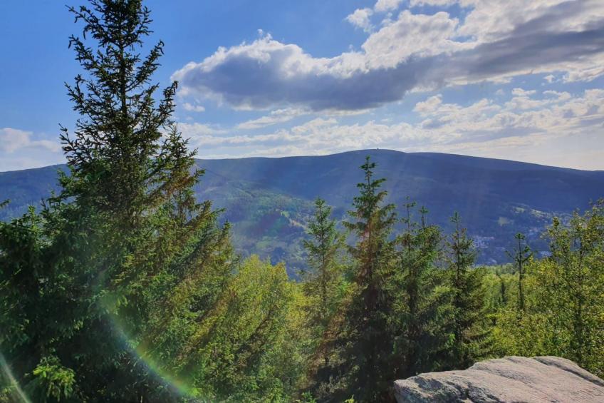 Wohnung Nr. 1 - foto 13